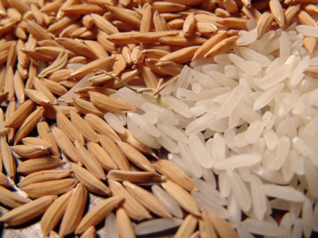 Arroz