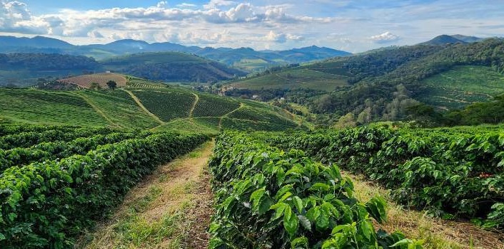 Minas Gerais