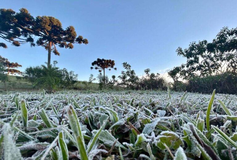 Frio