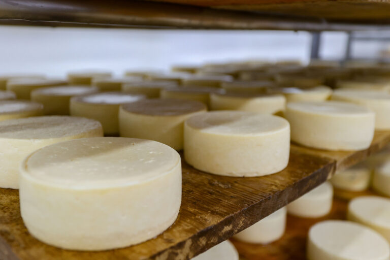 Queijo
