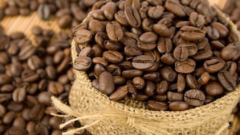 Grãos de café torrados em saco de juta cheio com mais grãos espalhados ao fundo
