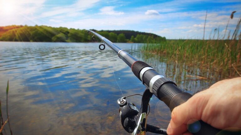 Mão segurando vara de pesca lançada sobre lago calmo com vegetação nas margens e sol refletido na água