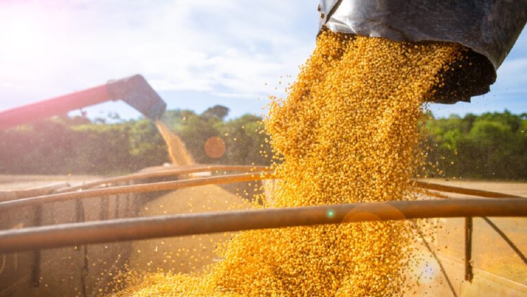 Soja na máquina