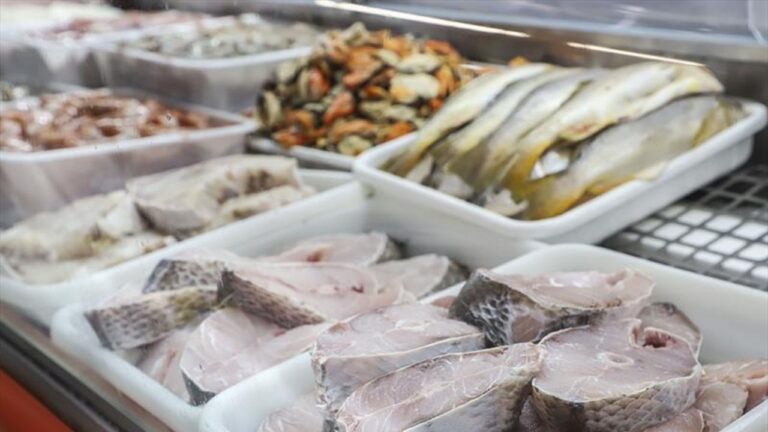 Postas e filés de peixe expostos em bandejas refrigeradas em balcão de peixaria para venda ao público