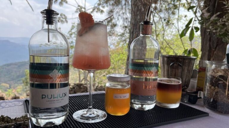 Garrafas de gin artesanal e drinques servidos em mesa ao ar livre com mel e ingredientes naturais em cenário de natureza rural