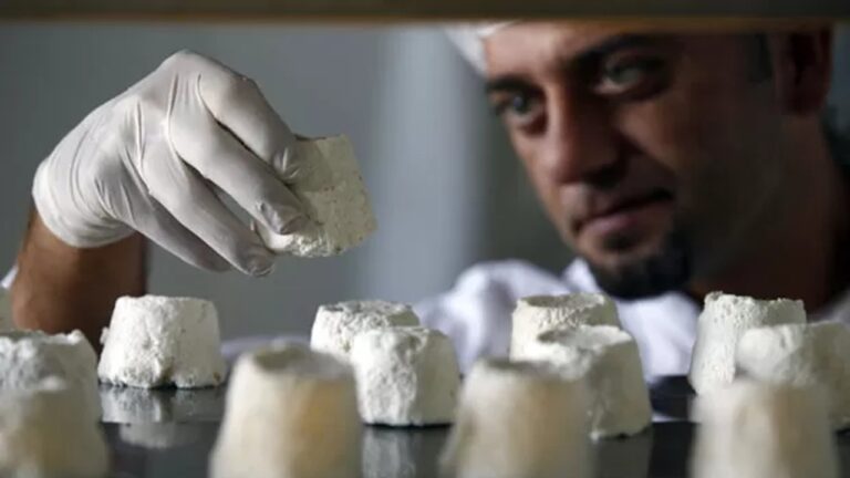 Fiscal segura peça de queijo branco durante inspeção sanitária de alimentos em ambiente industrial