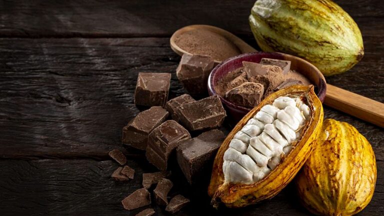 Fruto do cacau aberto com amêndoas ao lado de pedaços de chocolate em imagem sobre produção e preço do cacau