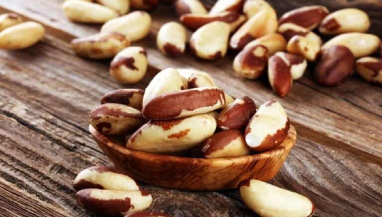 Castanhas-do-pará sem casca dispostas em tigela de madeira sobre mesa rústica ilustrando consumo e comercialização do fruto amazônico