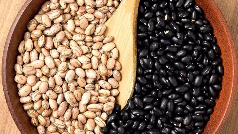Feijão carioca e feijão preto em recipiente com colher de madeira em imagem sobre consumo e preço dos grãos no Brasil