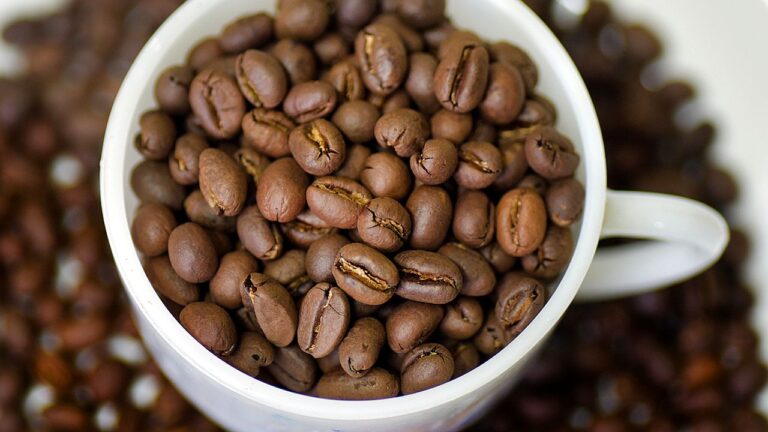 Grãos de café torrado em xícara branca em imagem sobre consumo e preço do café no Brasil