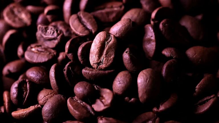 Grãos de café torrado em close em imagem sobre produção e consumo de café no Brasil