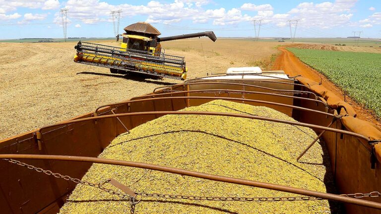 Colheitadeira despeja grãos em carreta durante colheita em lavoura em imagem sobre produção agrícola e safra de grãos