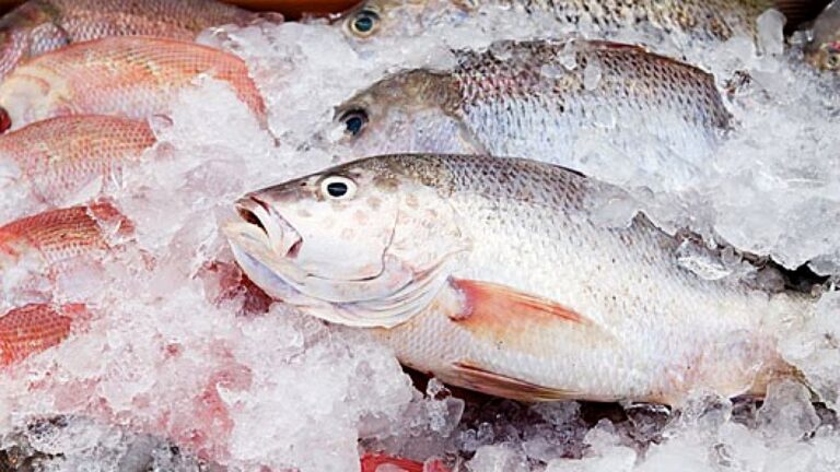 Peixes frescos expostos sobre gelo em banca de mercado em imagem sobre venda e preço do pescado