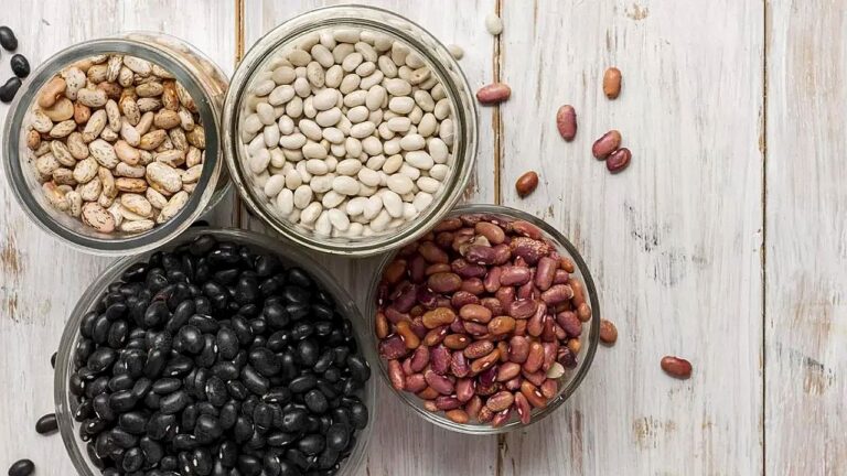Grãos de feijão preto, branco, carioca e vermelho dispostos em potes sobre superfície de madeira ilustrando variedade de leguminosas