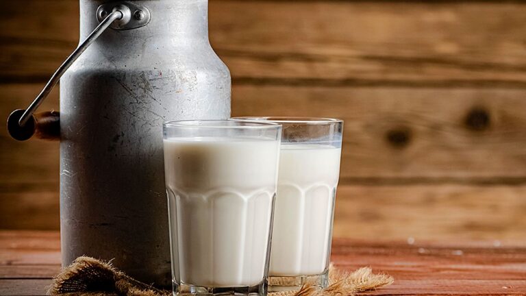 Garrafa de leite metálica ao lado de dois copos com leite sobre mesa de madeira em ambiente rústico