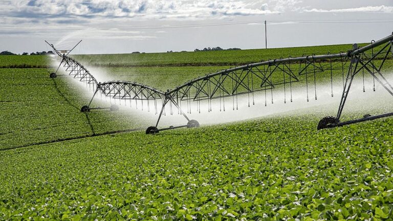 Sistema de irrigação por pivô central distribui água sobre lavoura em área de produção agrícola