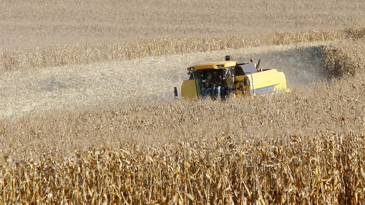 Agropecuária