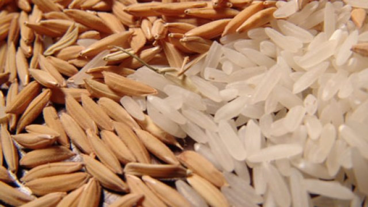 Arroz