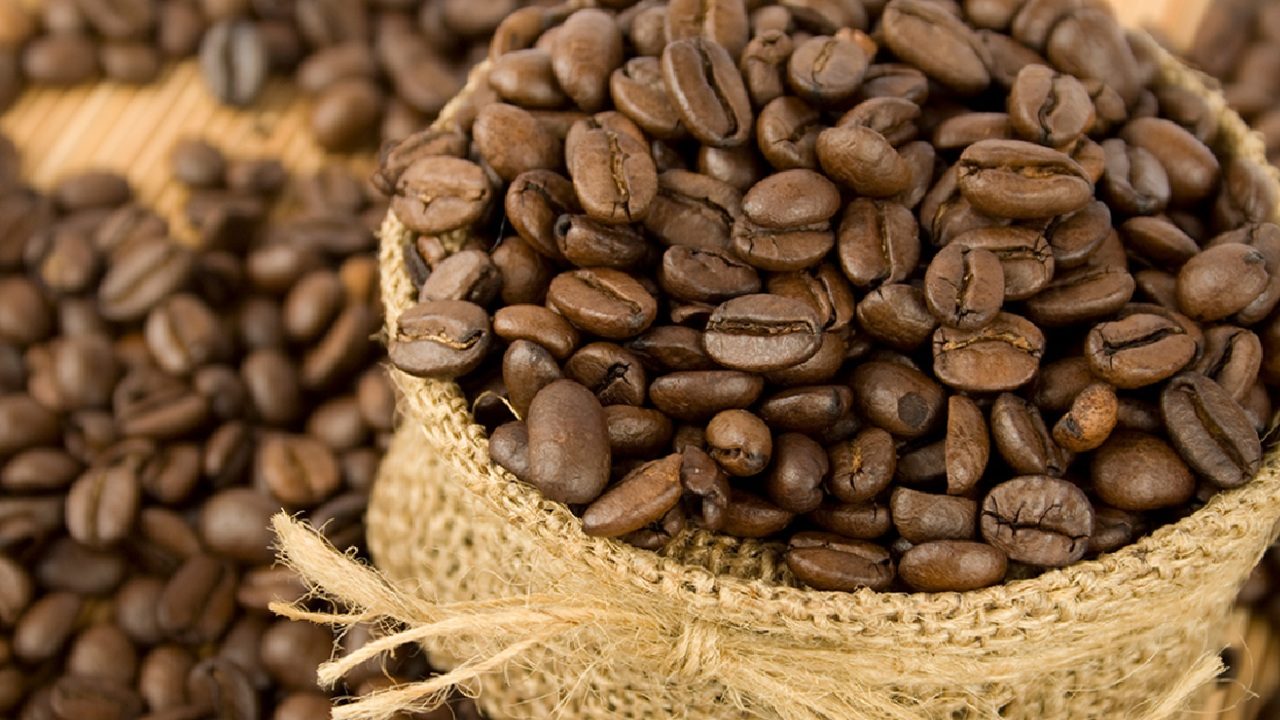 Grãos de café torrados em saco de juta cheio com mais grãos espalhados ao fundo