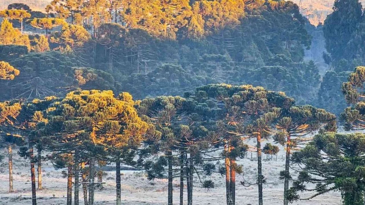 Sul