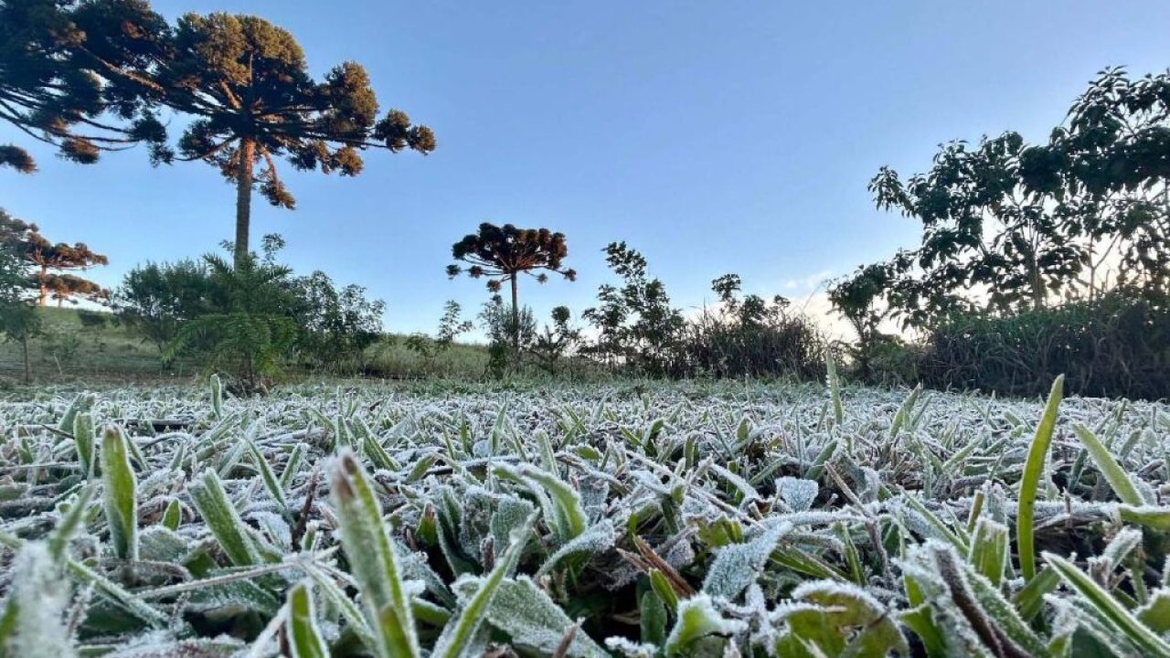 Frio