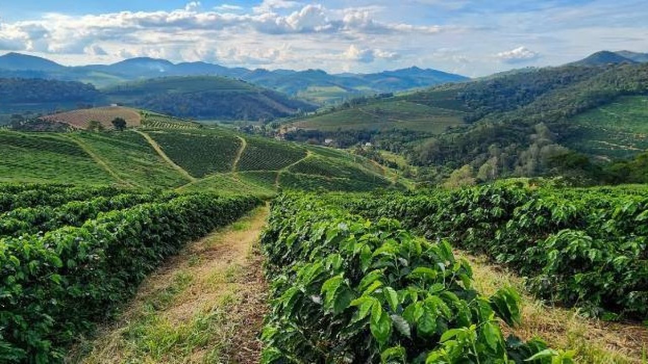 Minas Gerais