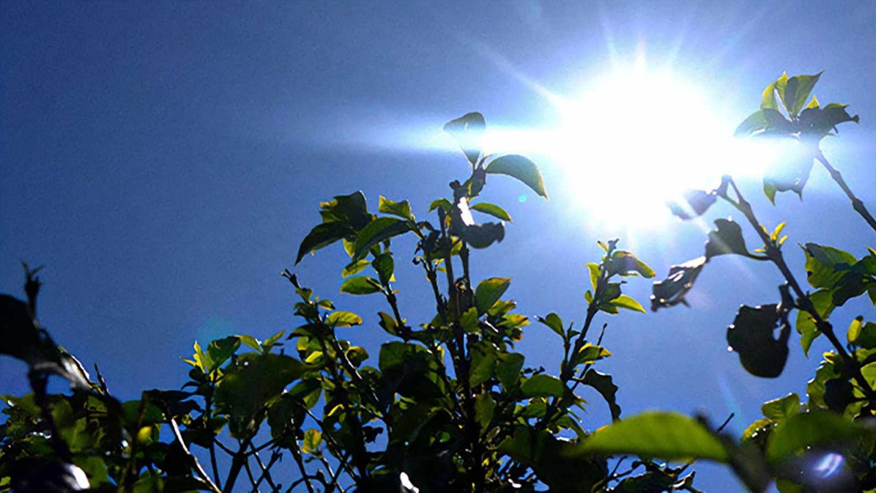 Temperaturas