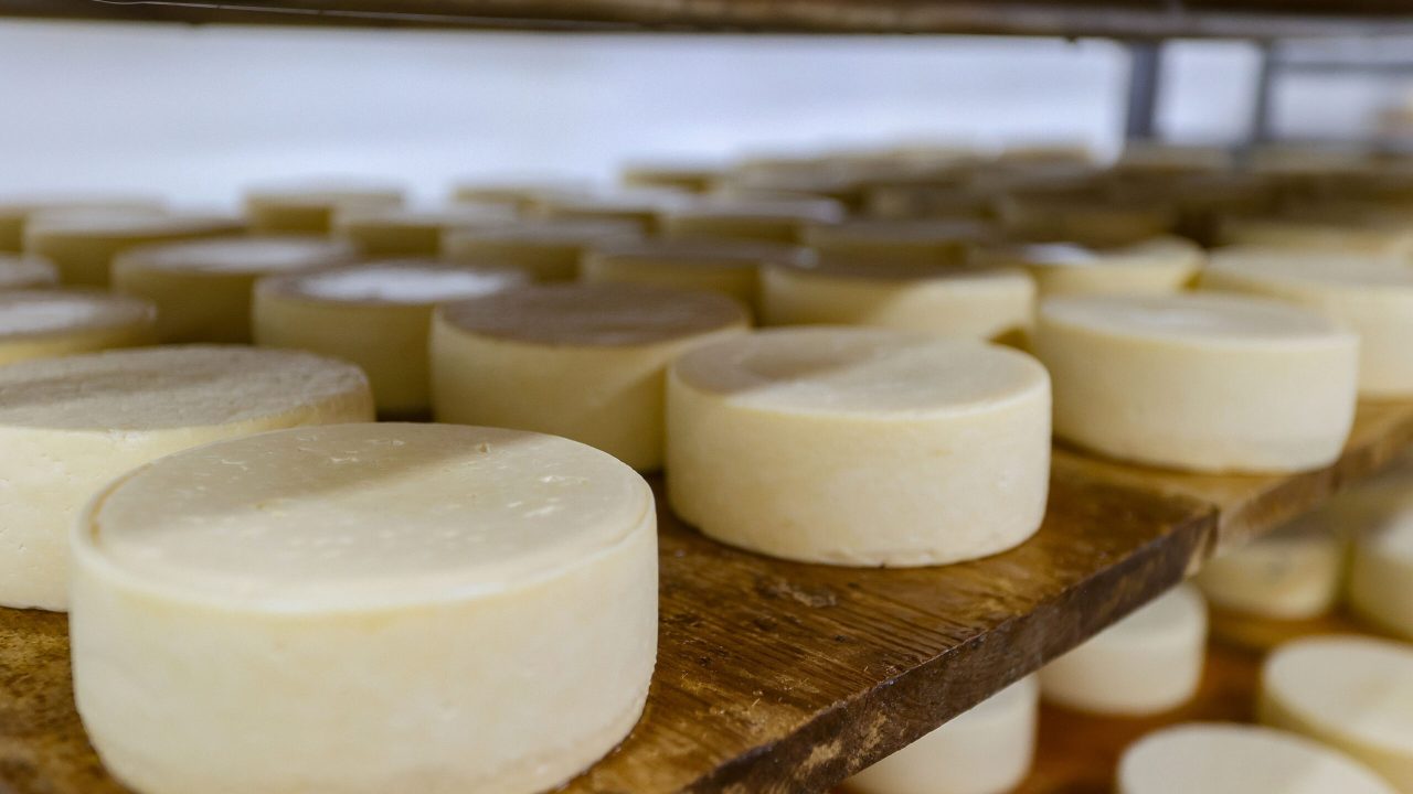 Queijo